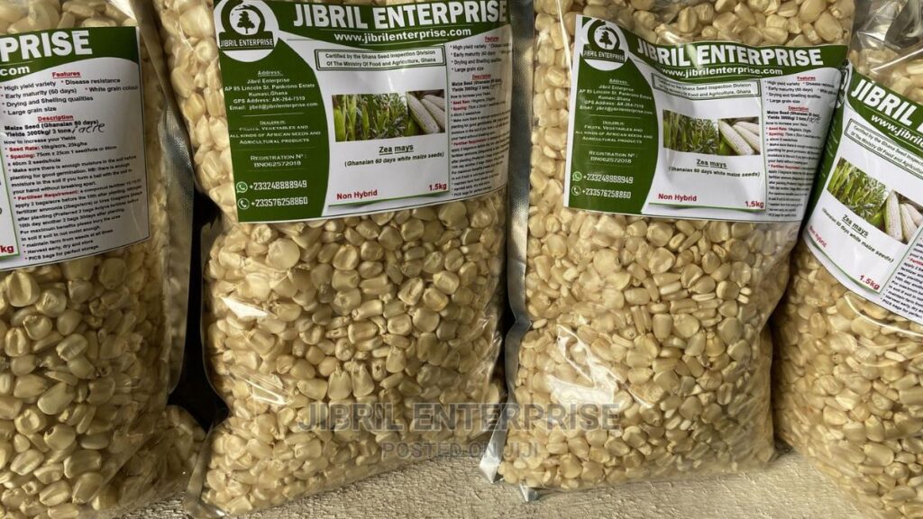 List of Maize Suppliers in Ghana