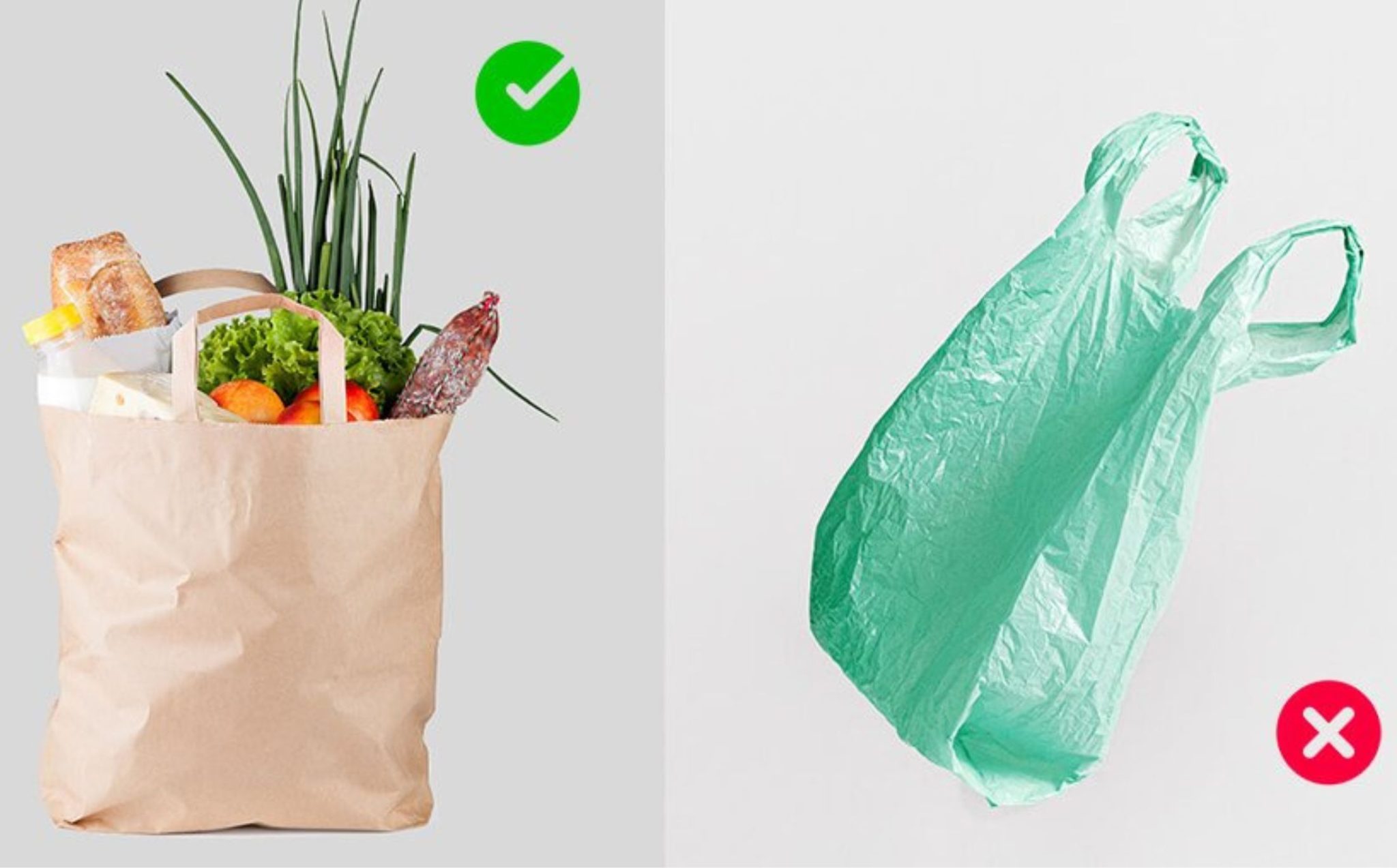 6 Reasons to Use Paper Bags over Plastic Bags July 2024